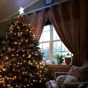 Meet your Posher, Tracey